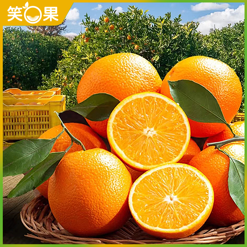江西赣南脐橙原产地皮薄新鲜现摘现发橙味清澈甘甜5/10斤圆通包邮