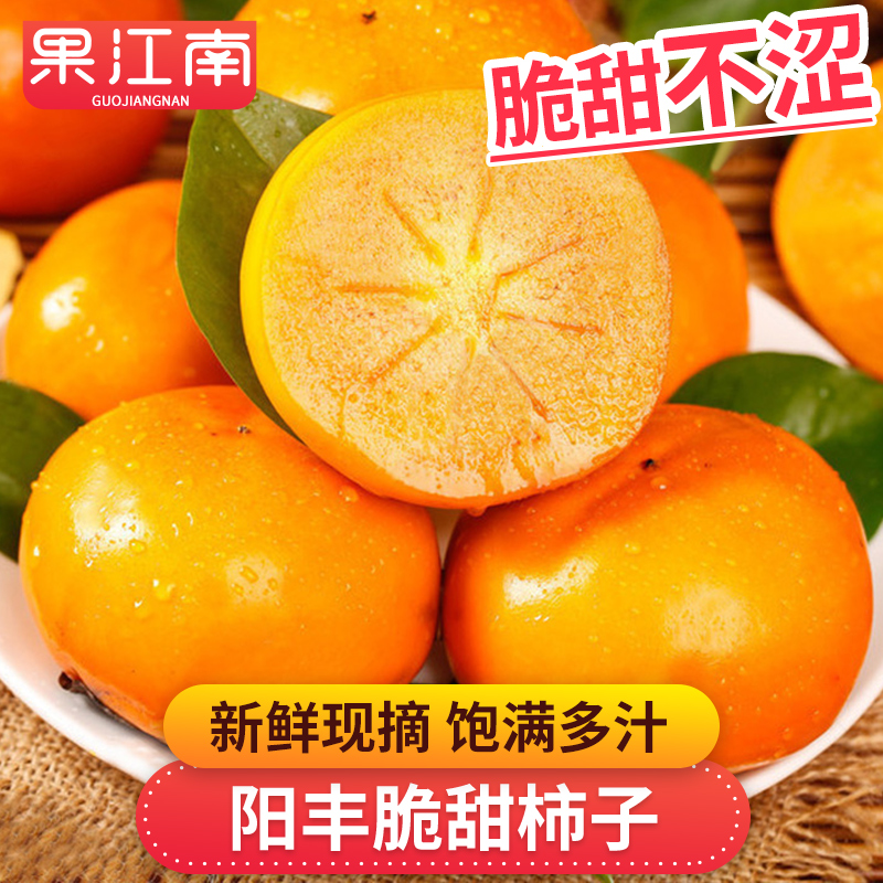 【果江南】阳丰脆甜柿子5斤很好吃不涩口 新鲜应季水果