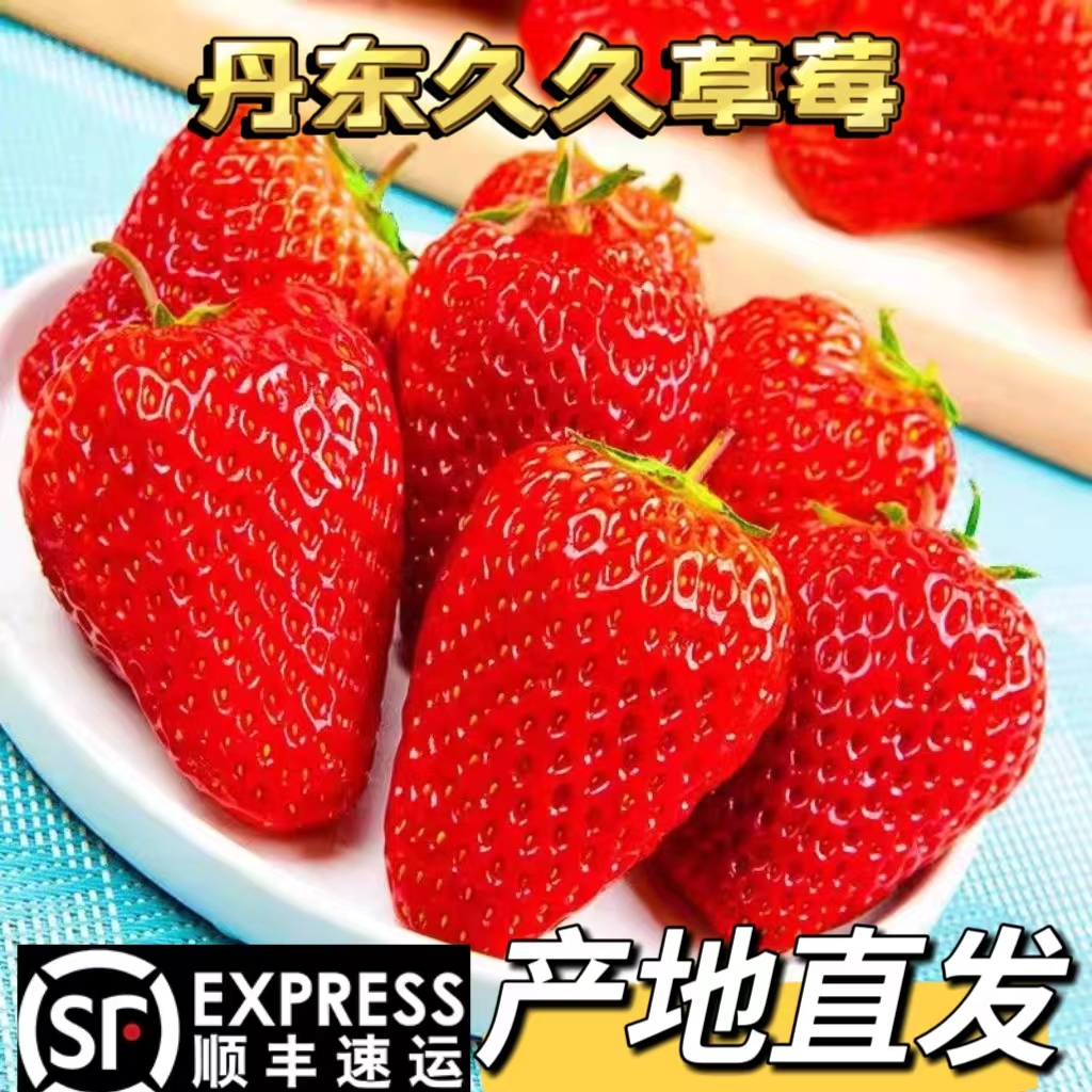 丹东九九草莓红颜草莓
