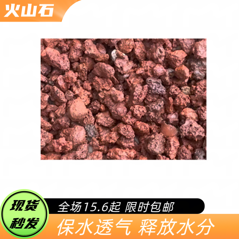 精洗火山石适用于兰科植物多肉盆栽可搭配其他配营养土可用铺面石