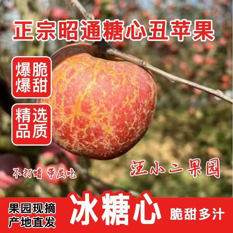 正宗昭通农家原生态糖心丑苹果山区新鲜现摘脆甜多汁5斤包邮