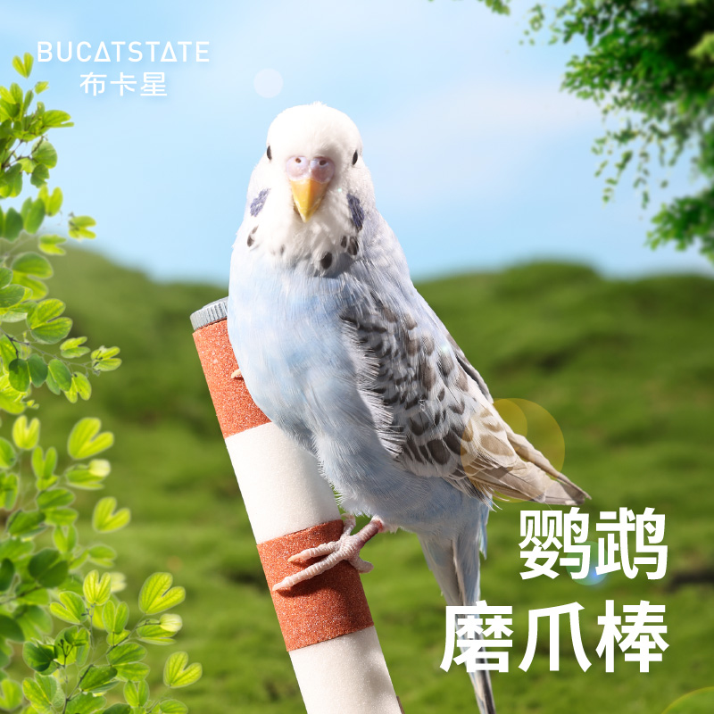 布卡星鹦鹉磨爪棒鸟站杆站架玄凤磨砂玩具磨甲器牡丹磨牙棒用品