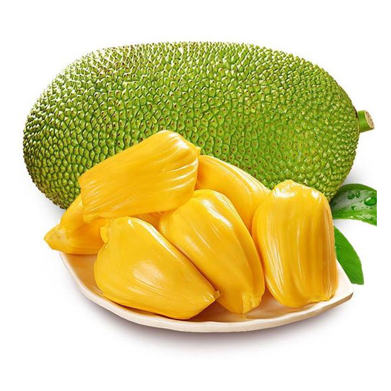 《原味》香甜 海南黄肉菠萝蜜新鲜水果10-50斤当季木波罗蜜一整个包