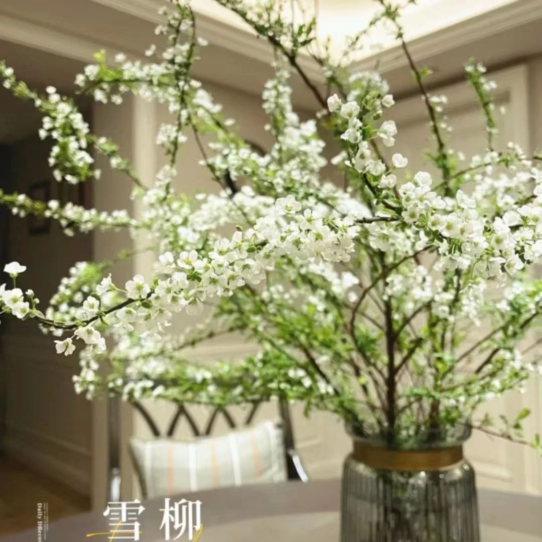 【带芽发货】雪柳干枝水培花卉室内水养植物鲜枝绿植懒人插花好