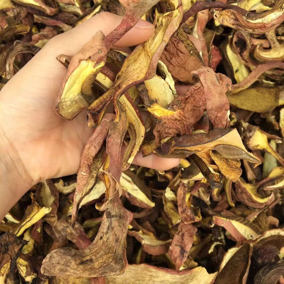 【云南山货】【鲜牛肝菌】食用农产品