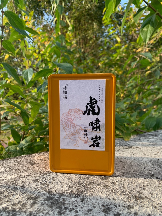 6泡「2023新虎啸岩肉桂」辛辣霸气桂皮香武夷岩茶大红袍岩茶