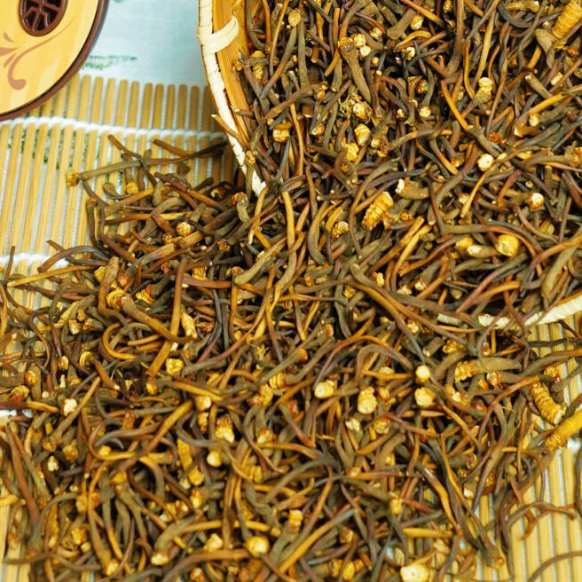 【纯草头】冬虫夏草草头 泡酒 煲汤 泡茶家用