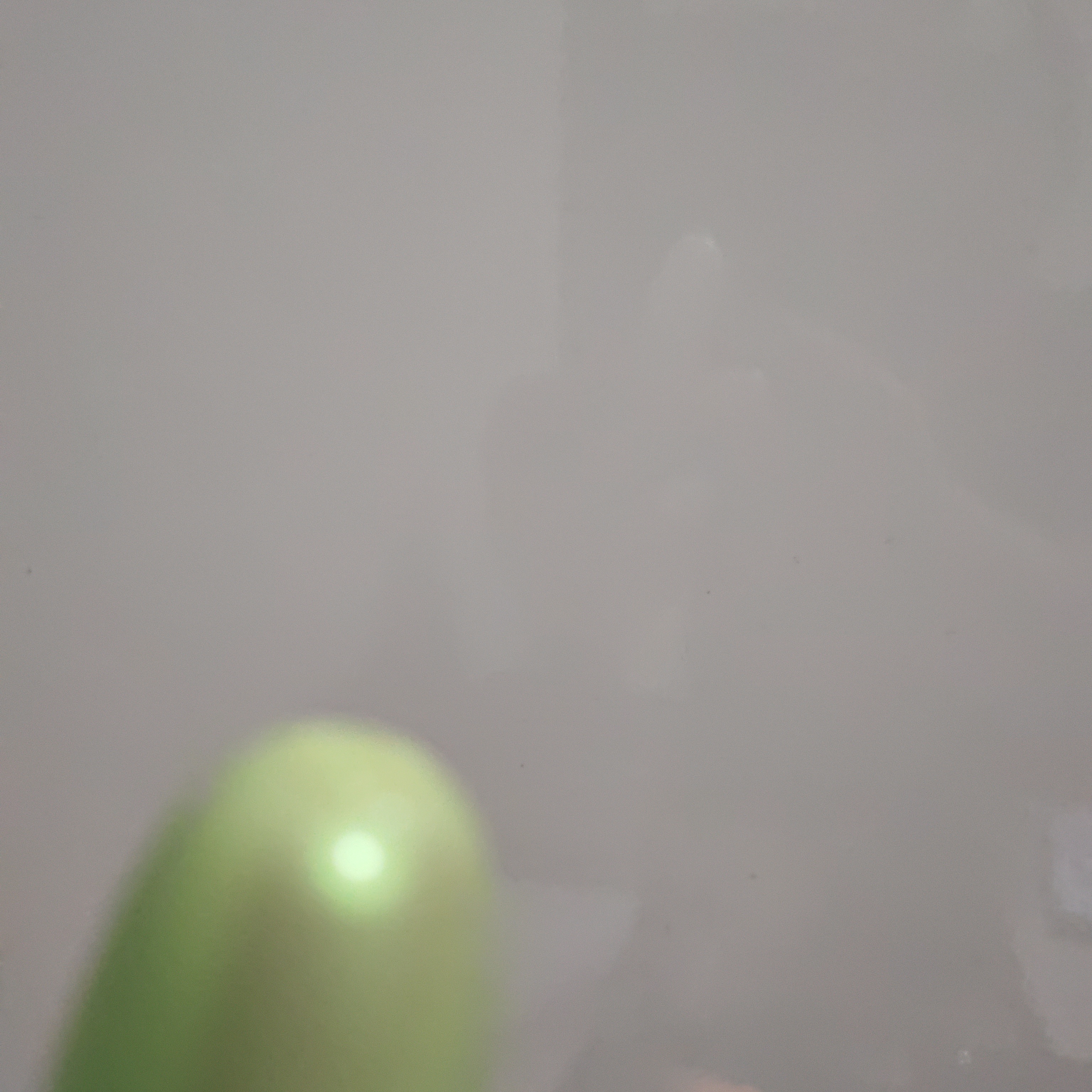 【真是大韩】奚生赋机能多重滋养精华