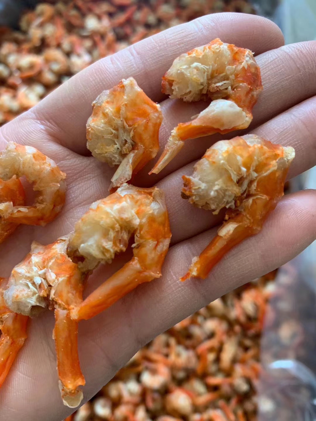 小太阳景云 鱼胶花胶 虾米 500g