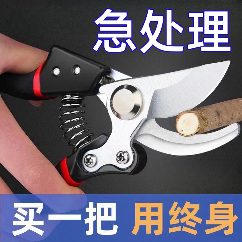 德国工艺钢剪树剪子果树剪修枝剪刀家用花木葡萄修剪镐斧剪子大全