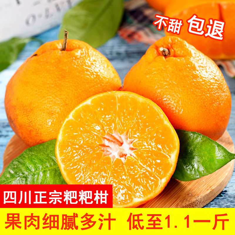 【现摘现发】四川春见耙耙柑新鲜柑橘粑粑柑橙子水果礼盒原产地