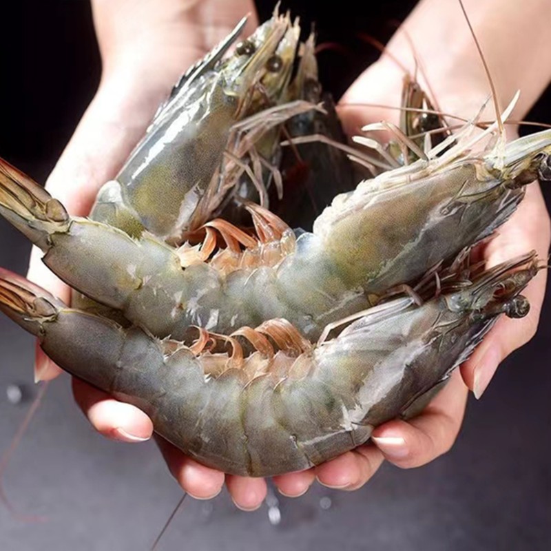 4斤厄瓜多尔白对虾20-30大虾盐冻单只净重3.3-3.6斤/盒海虾直采