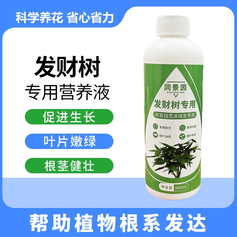 【发财树专用】家庭园艺发财树专用营养液水培生长土壤烂根DAM