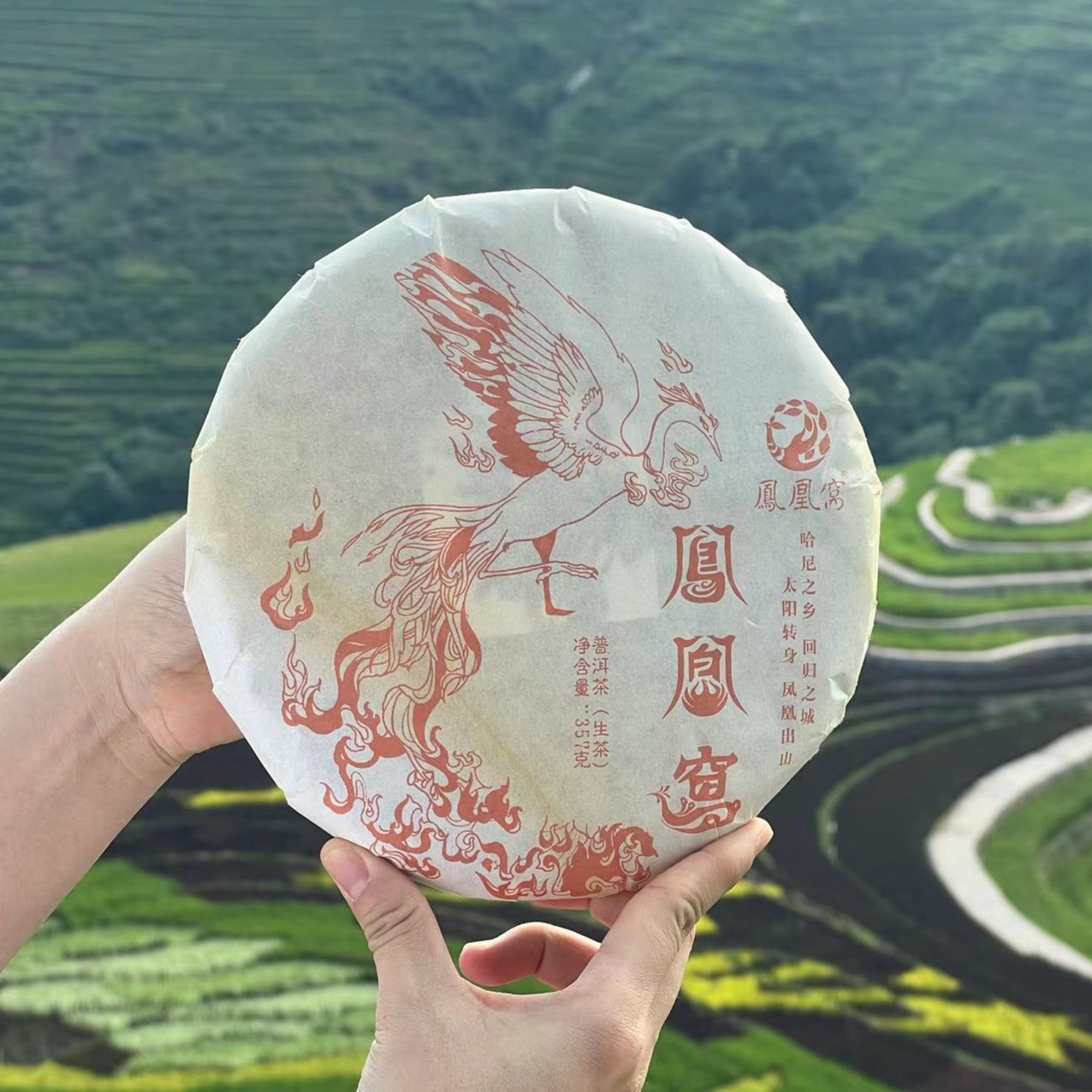 「青」2019年 凤凰窝生普 357克/饼 （带茶样）