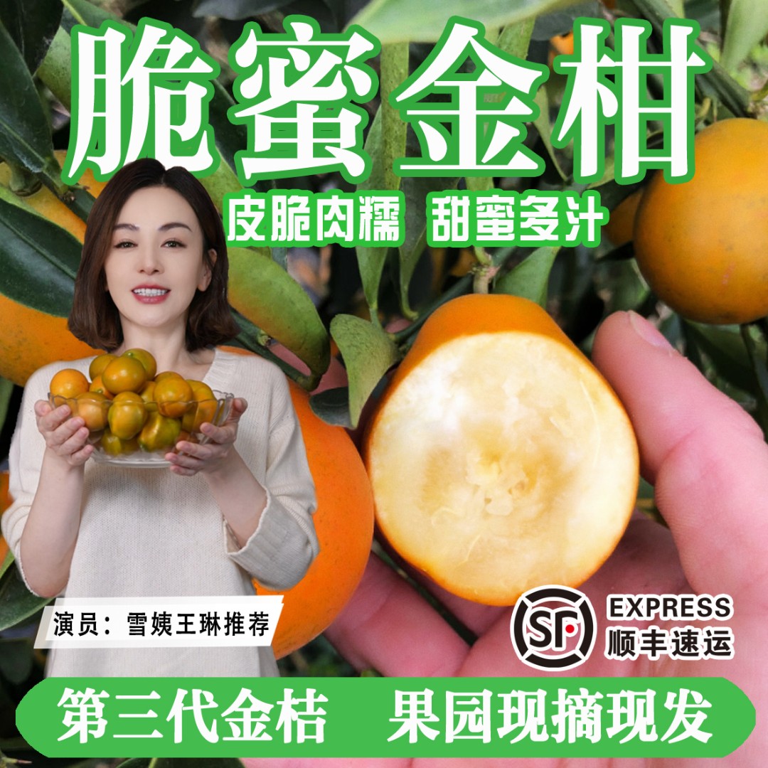 【雪姨王琳推荐】广西融安脆蜜金桔金柑第三代纯甜金桔无籽新鲜水果