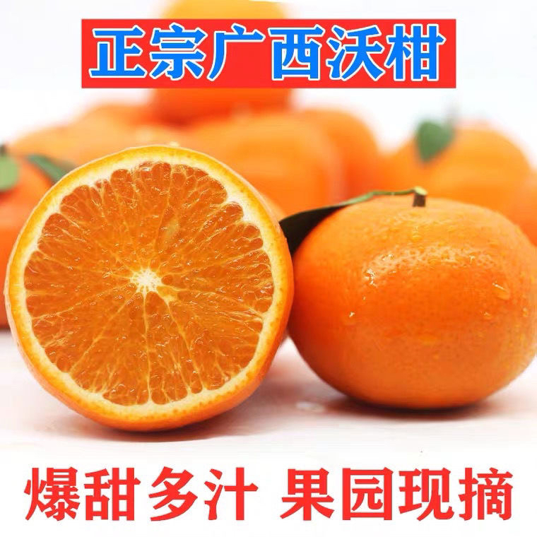 【现摘精品】广西武鸣沃柑新鲜应季水果3/5/9斤柑橘砂糖橘香甜多汁