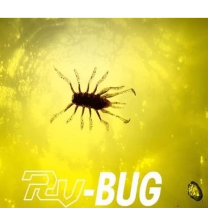 BUG-RV BUG多足虫多须虫颤抖微波动颤摆诱鱼高效饵路亚黑坑使用