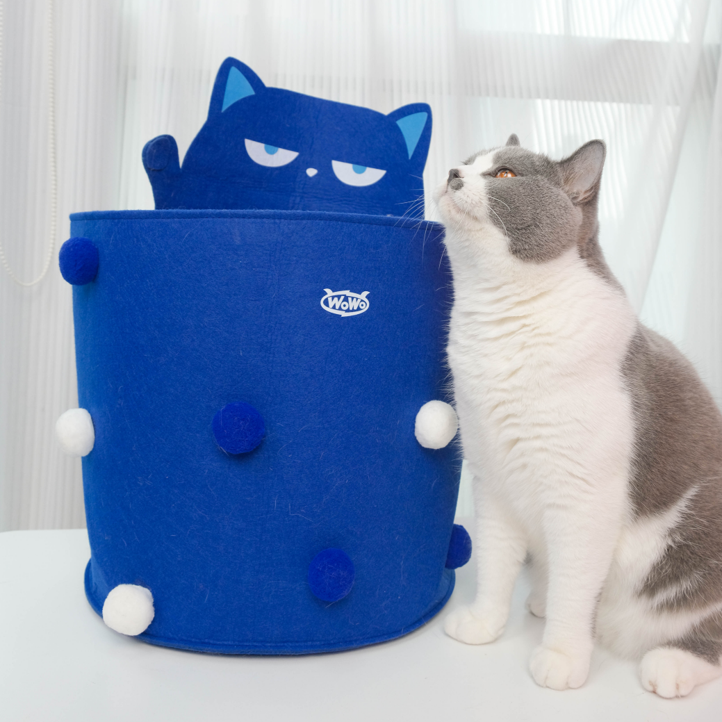 WoWo蓝猫毛毡桶绒球款