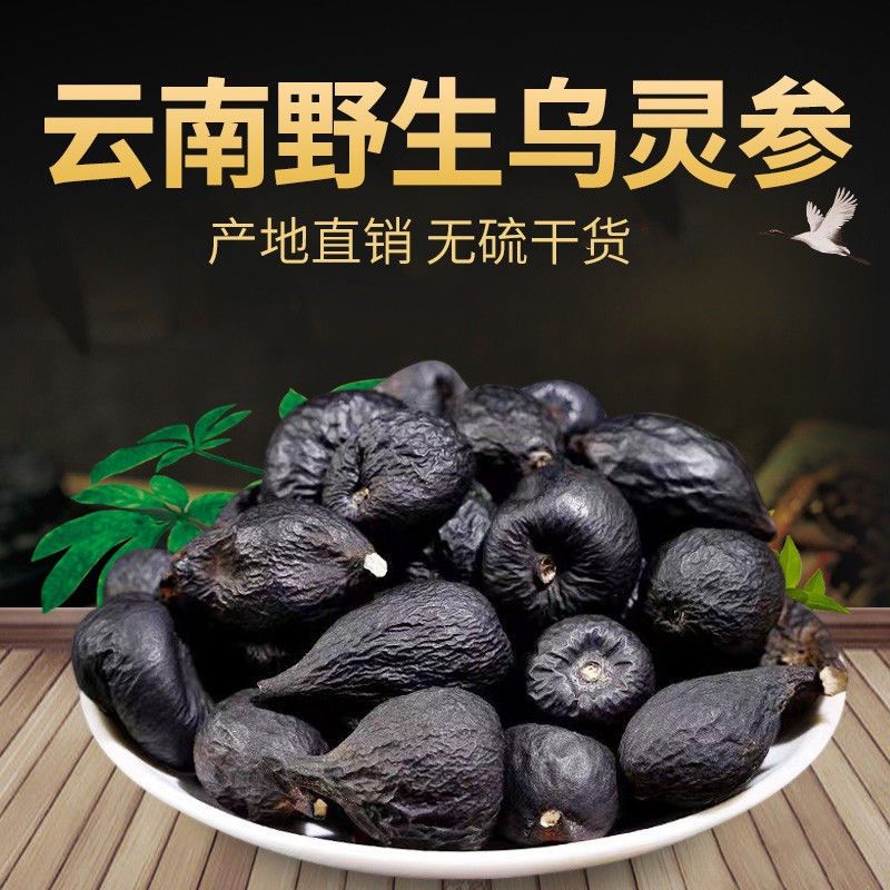 云南特产云南深山现挖乌灵参