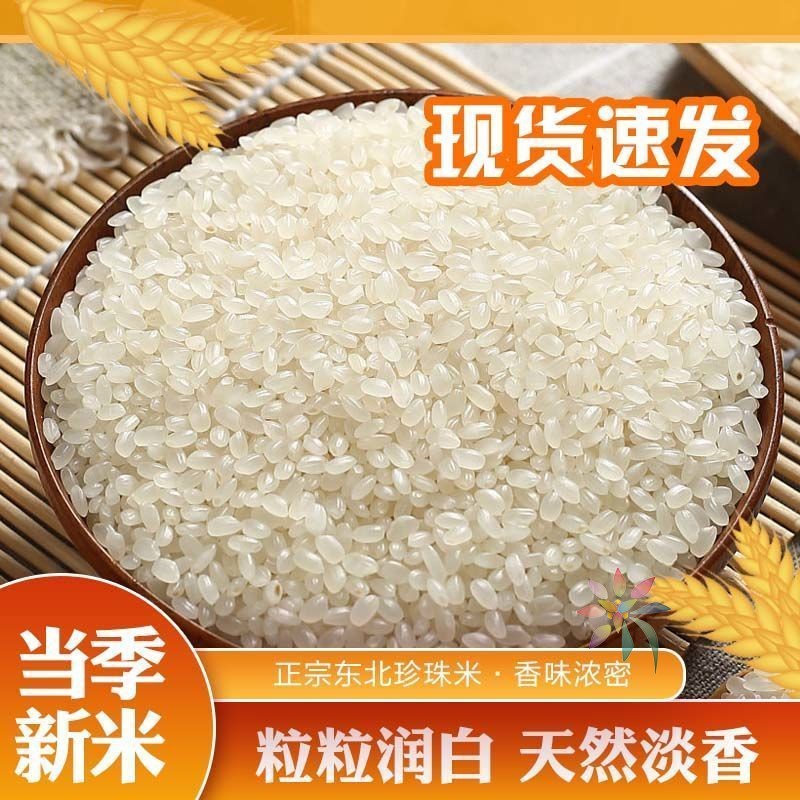 正宗东北大米珍珠米10斤20斤小袋装圆粒长粒香米当季/0lb蔬菜组合
