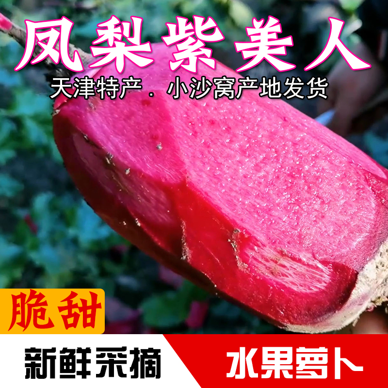 凤梨紫美人萝卜天津沙窝水果萝卜2500克脆甜多汁现摘