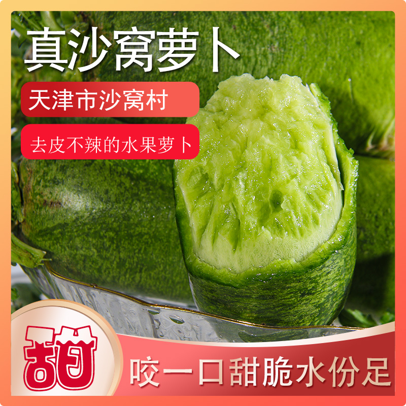 天津沙窝水果萝卜2500克脆甜多汁现摘现发