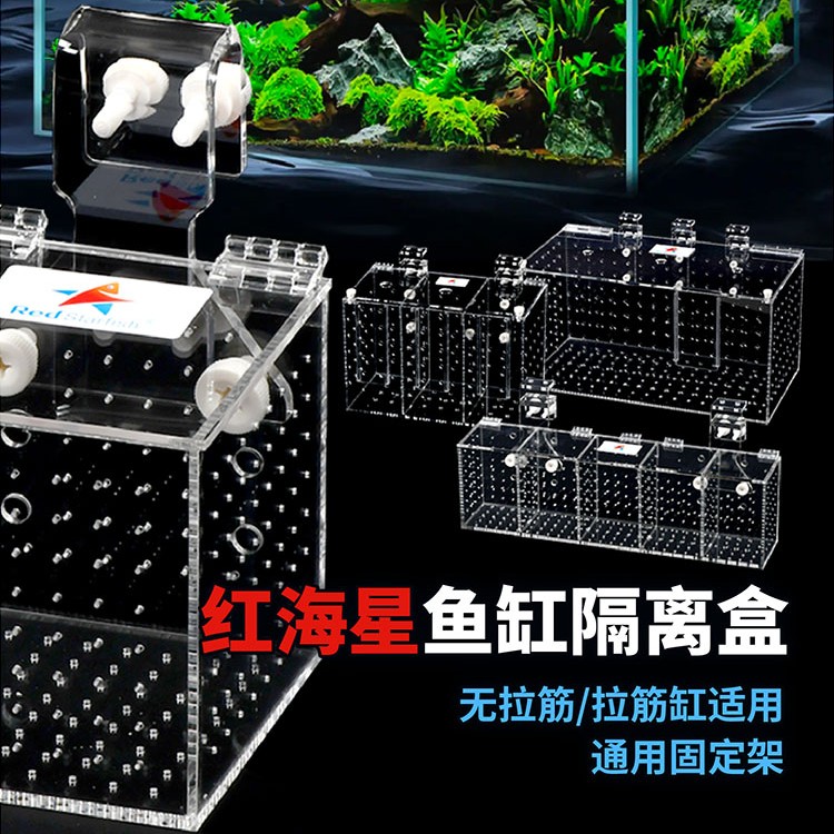 红海星鱼缸隔离盒内置置物盒防打架亚克力训食盒淡海水通用孵化盒