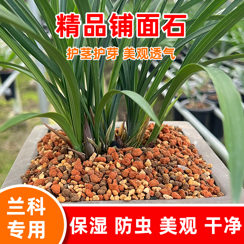靖·梓豪园兰花铺面石护茎土促芽保湿透气兰科植物花卉专用盖面土