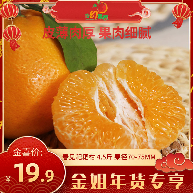 【金姐年货专享】四川春见耙耙柑4.5斤装  Q