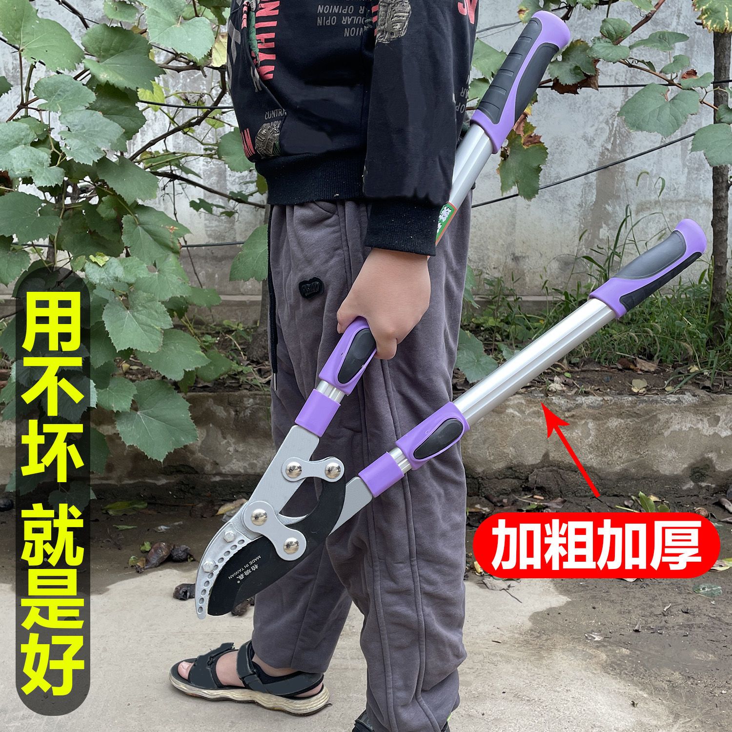 剪树枝专用大剪子修树枝剪刀粗枝果树修剪园林葡萄茶树伸缩杆省力