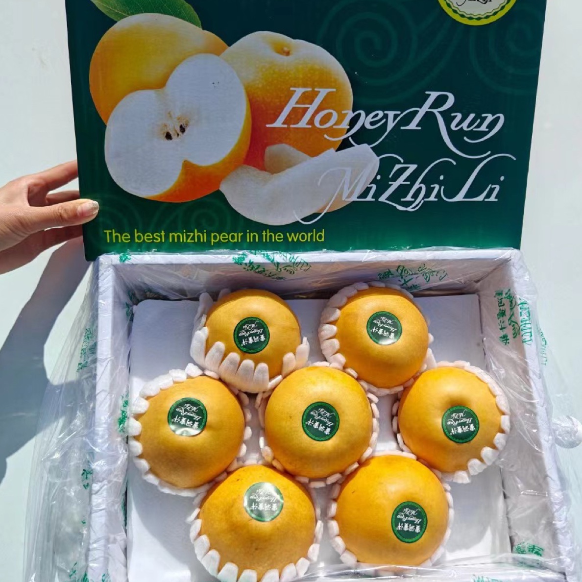 蜜润蜜汁梨6斤左右带箱7个装
