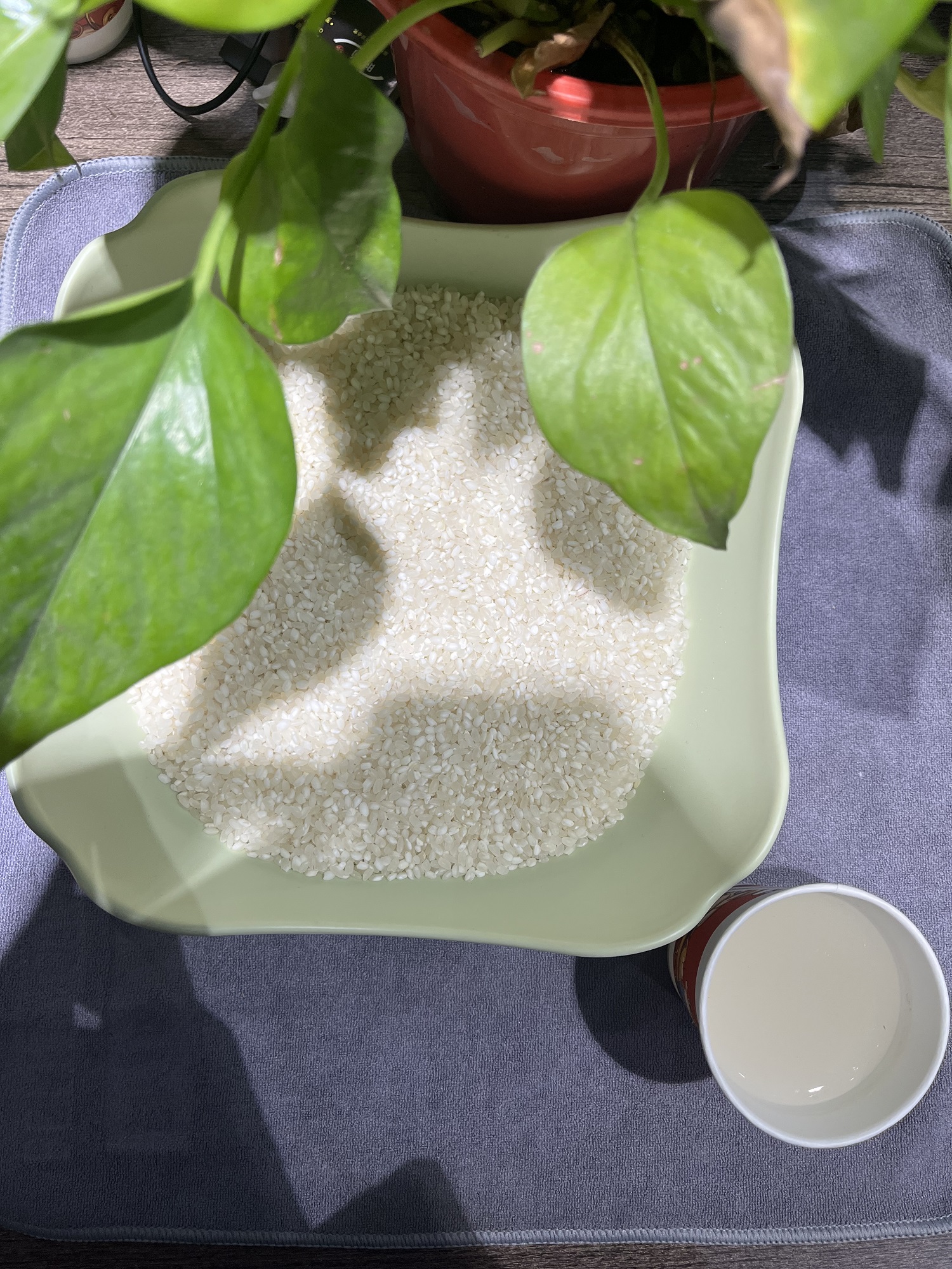 【到手一包700g】化妆套刷厂家推荐