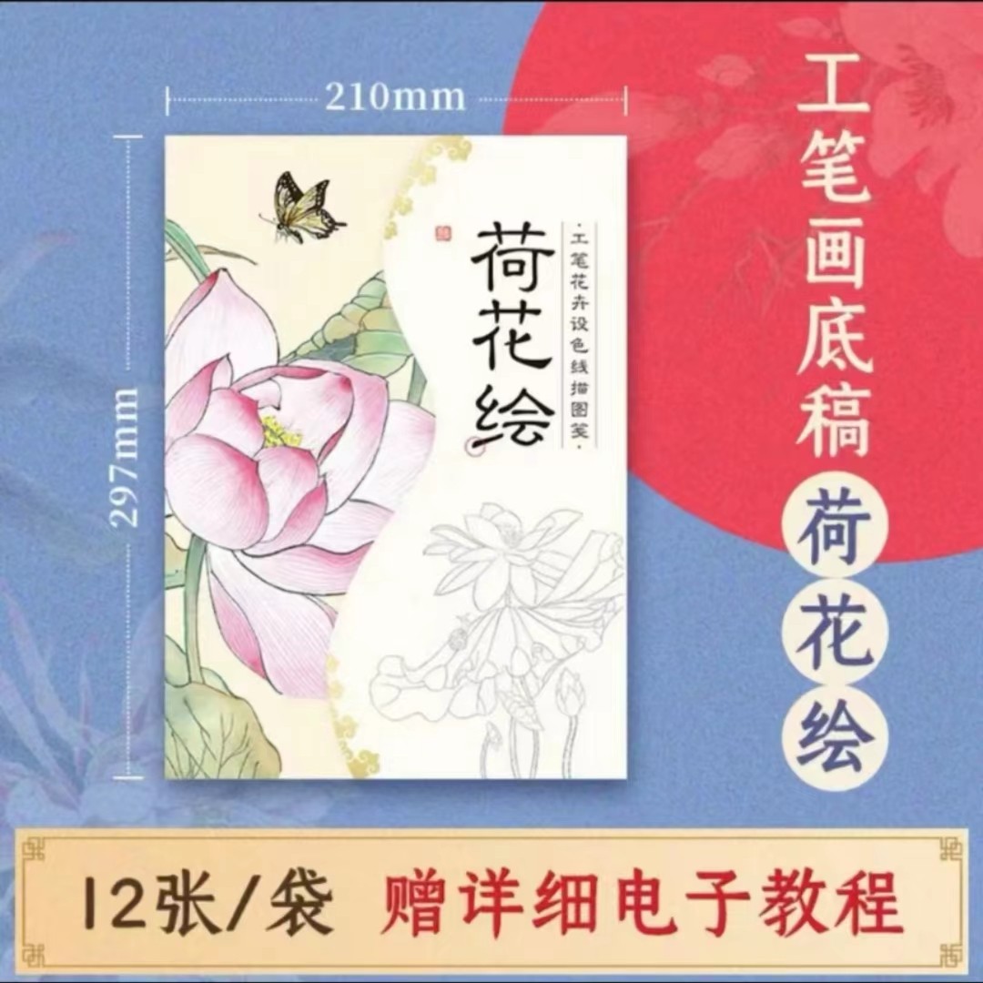 荷花绘 工笔荷花设色线描图笺 12张工笔画底稿白描涂色附电子教程