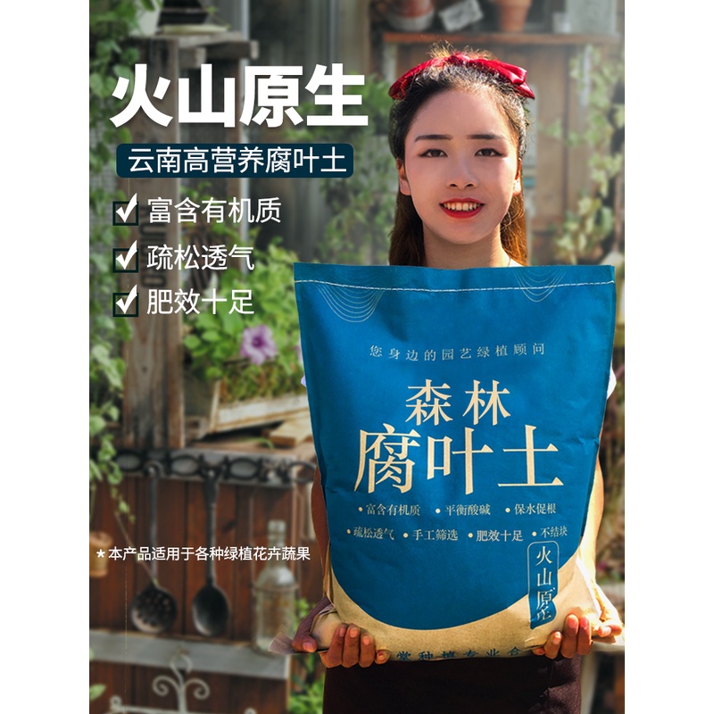 腐叶土腐熟透气疏松森林腐殖土多肉养花种菜家用肥料通用型营养土