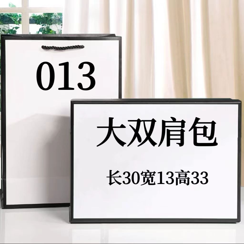 ZYL 013号包 新款大号双肩包可单肩双肩气质百搭休闲307