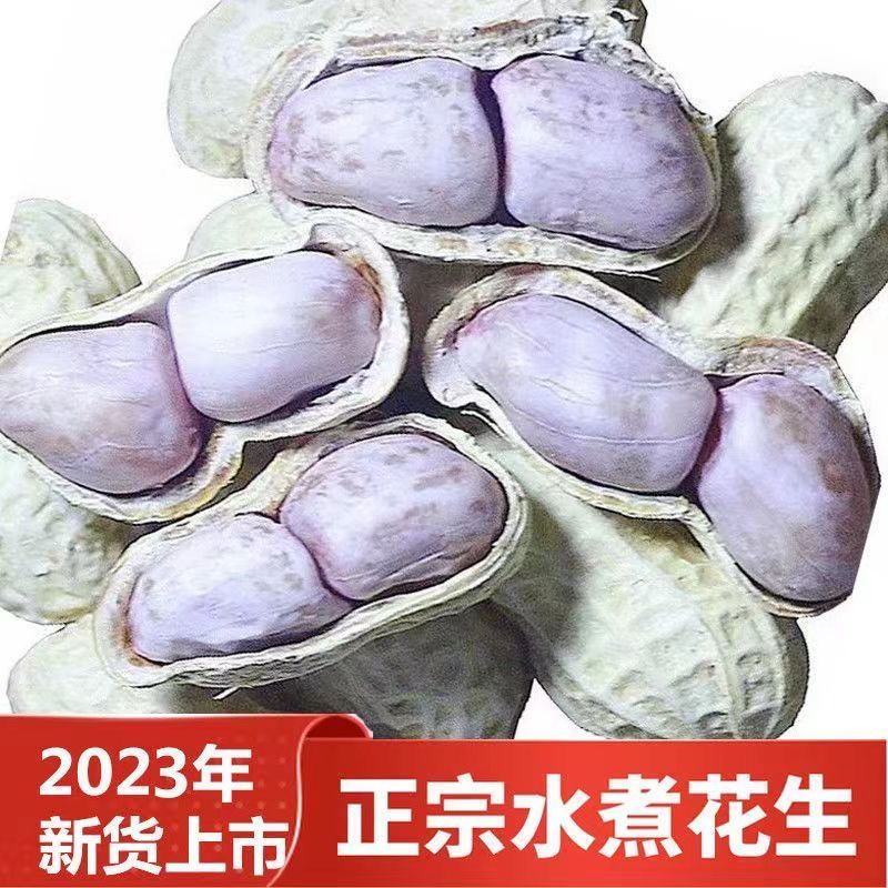 【新店】水煮花生晒干蒜香五香农家年货花生西湖龙井批发