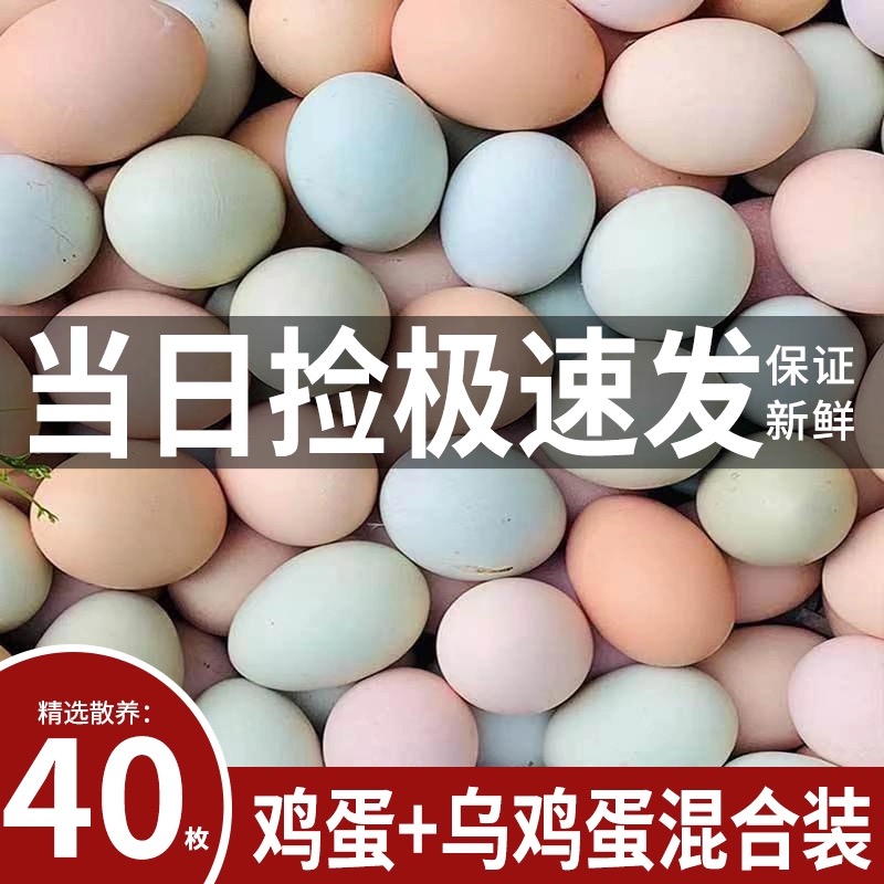 【10枚乌鸡蛋+30枚土鸡蛋】农家散养笨鸡蛋土鸡蛋现捡现发福利