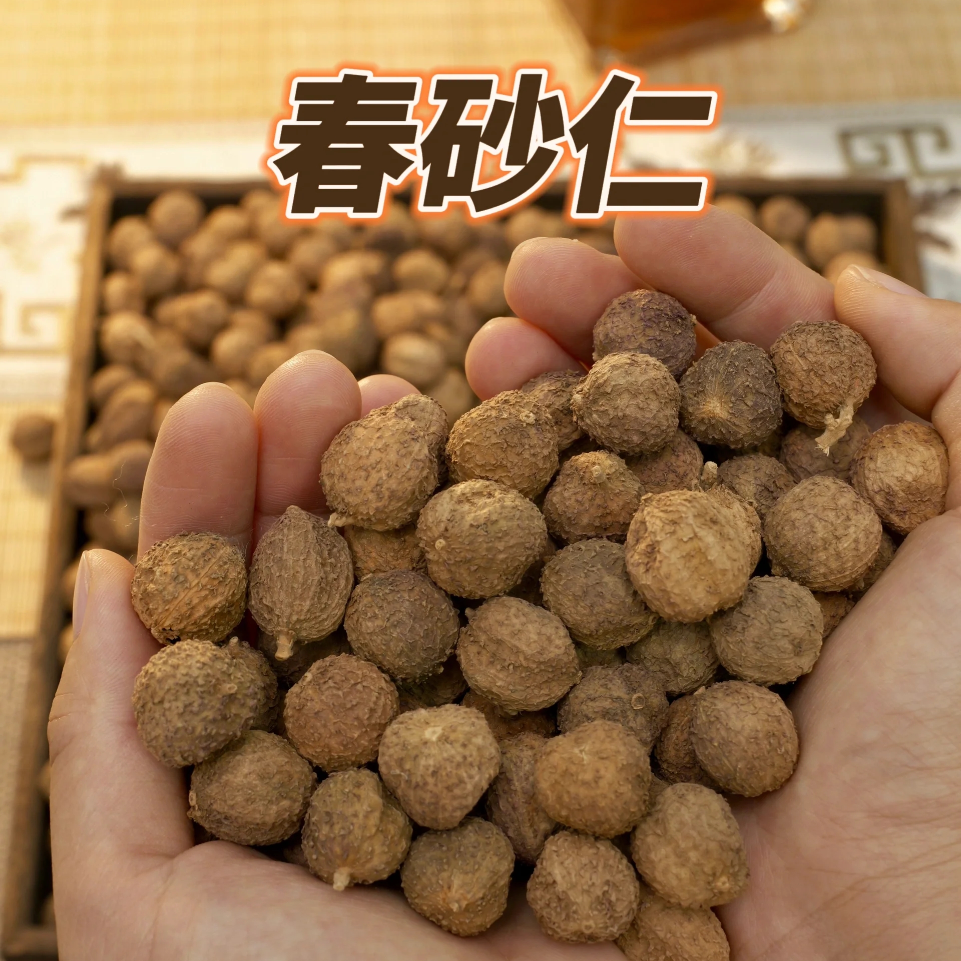 广东阳春砂仁道地选材正宗精选春砂仁干果特产砂仁煲汤蒸肉蒸排骨