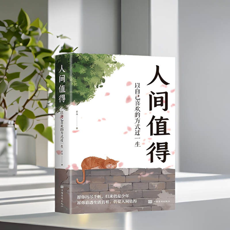书籍推荐经典好书人间值得正版书以自己喜欢的方式过一生成功碎笔