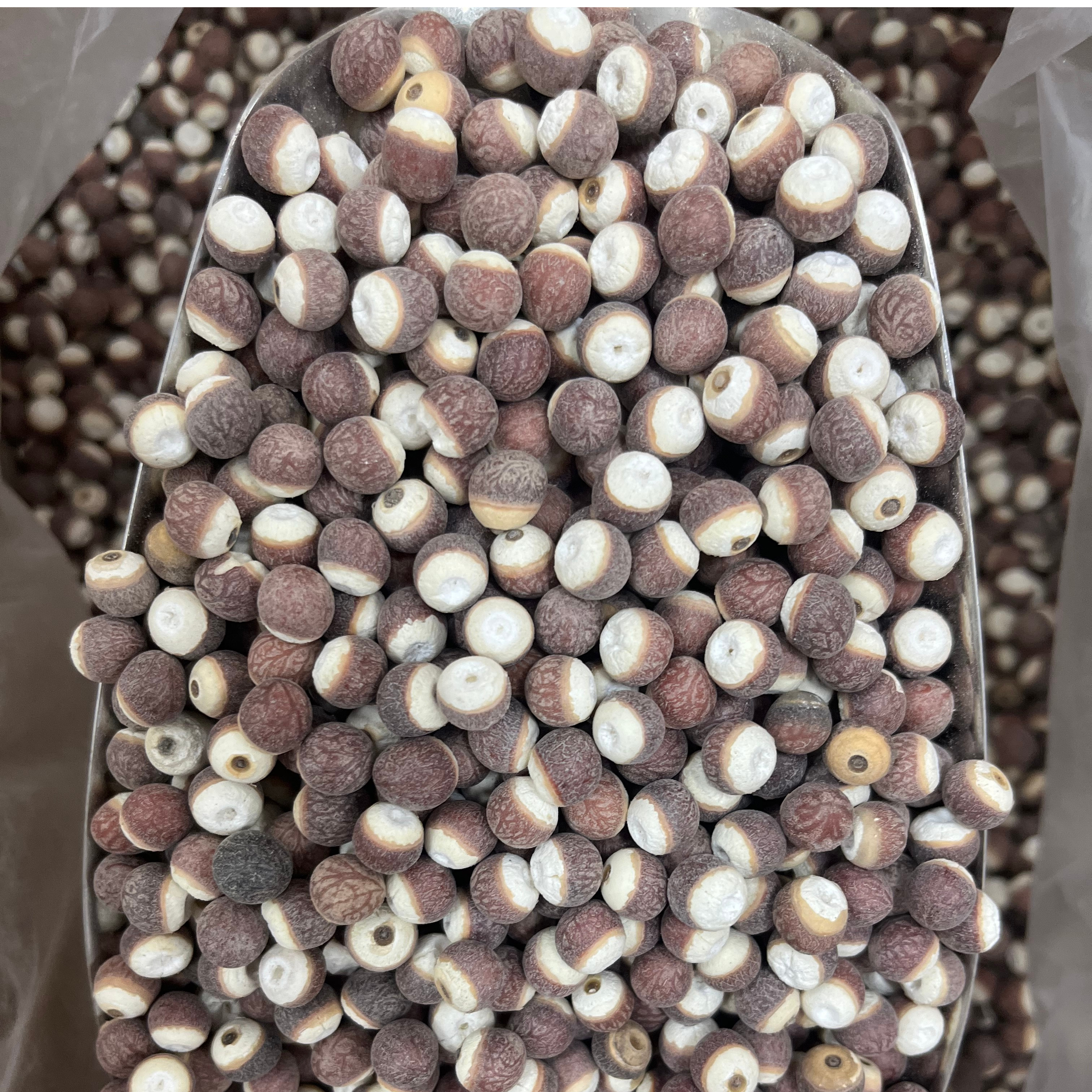 整粒茨实 出口 广东 无硫  食用农产品
