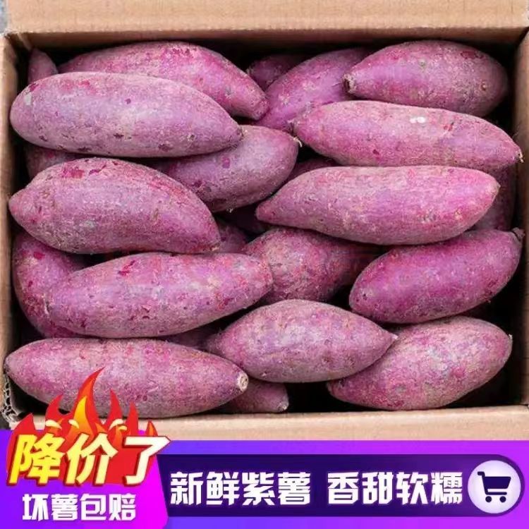 【抢购中】新鲜紫罗兰紫薯1-9斤番薯地瓜山芋紫蜜薯烟薯蔬菜水果