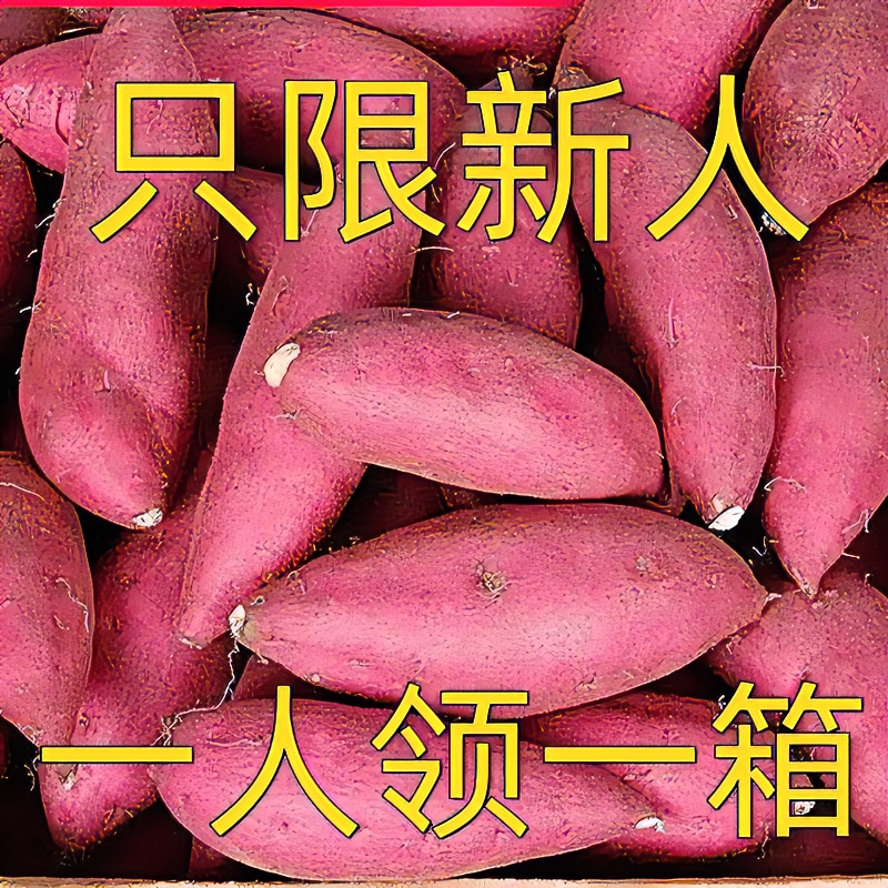 【抢购中】超甜正宗蜜薯新鲜红蜜薯1/9斤板栗薯地瓜番薯蔬菜烟薯