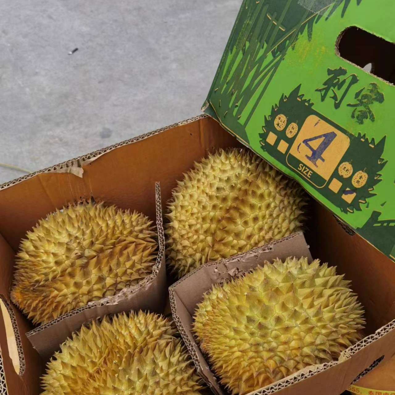 喜途日记刺客金枕树熟榴莲泰国进口金枕榴莲带壳榴莲软糯香甜榴莲
