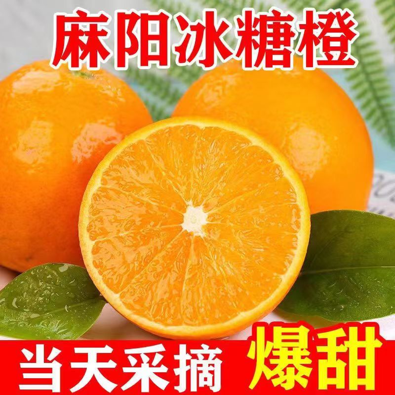 【麻阳冰糖橙爆甜多汁】麻阳冰糖橙当季超甜橙子包邮批发新鲜水果
