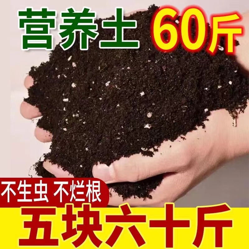 花土营养土大包养花土多肉土花卉肥料泥炭土种植土花泥绿萝有机士