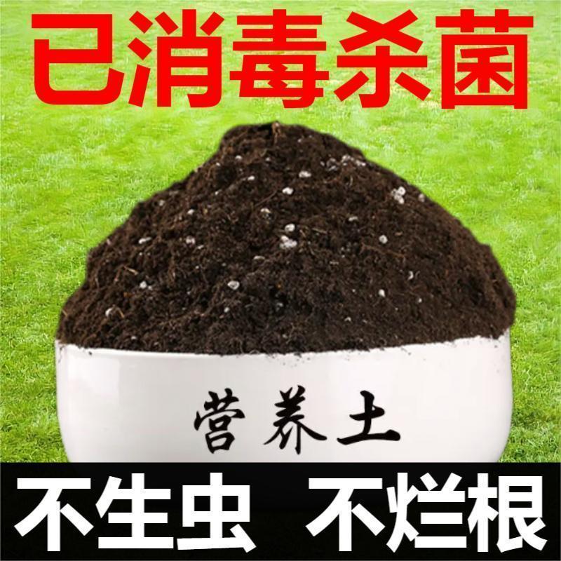 阳台种菜土通用型养花营养土土壤营养土种花营养土花土大包