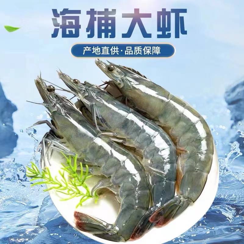 【净重6斤】2030青岛海洋大虾活冻锁鲜顺丰冷链