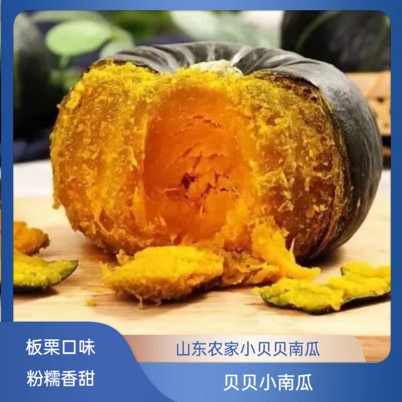 单拍不包邮 随单拍活动精品贝贝南瓜（一箱3个）