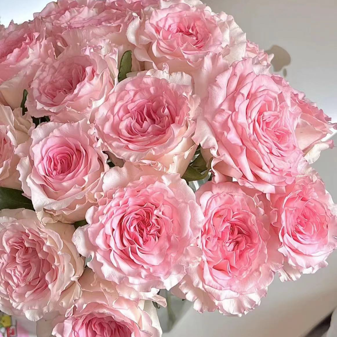 【洛神玫瑰链接】家庭插花 花艺设计养护花期鲜花