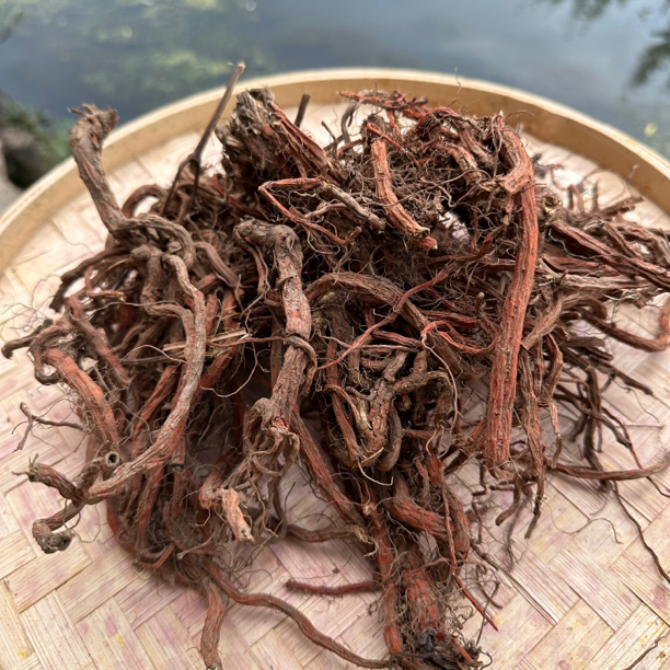 【小华专属】血丹参 净含量500g